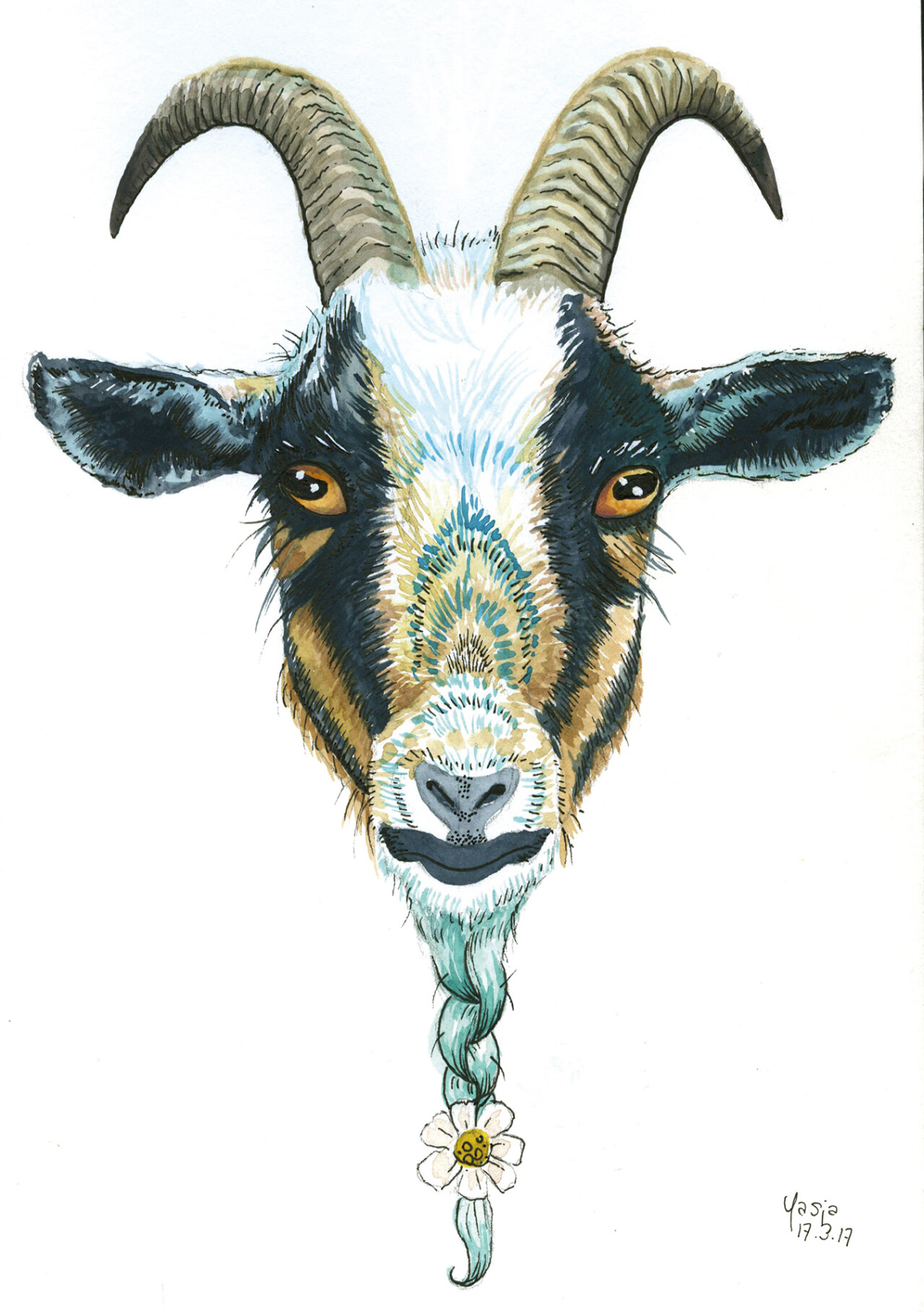 Limburgse dieren 18