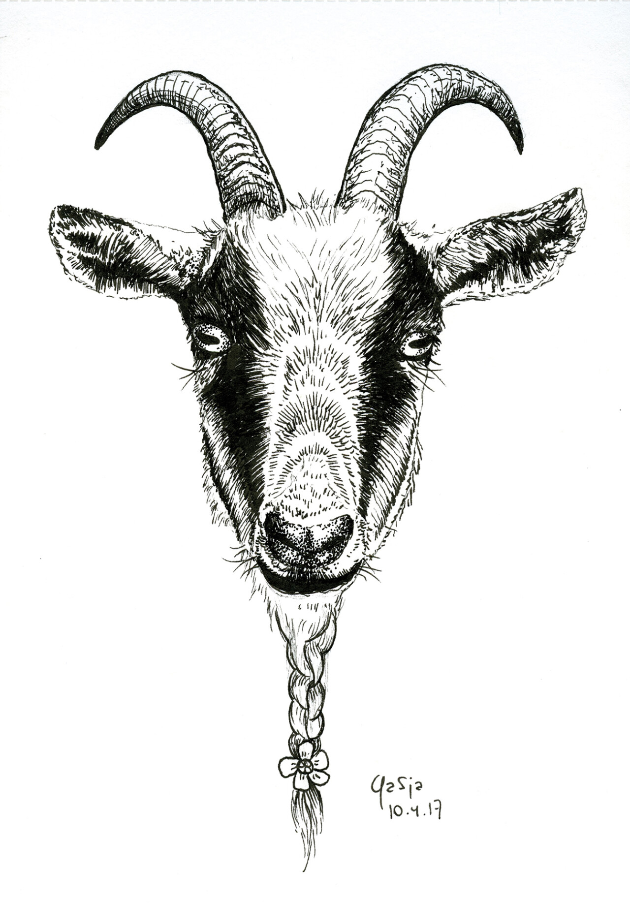 Limburgse dieren 20