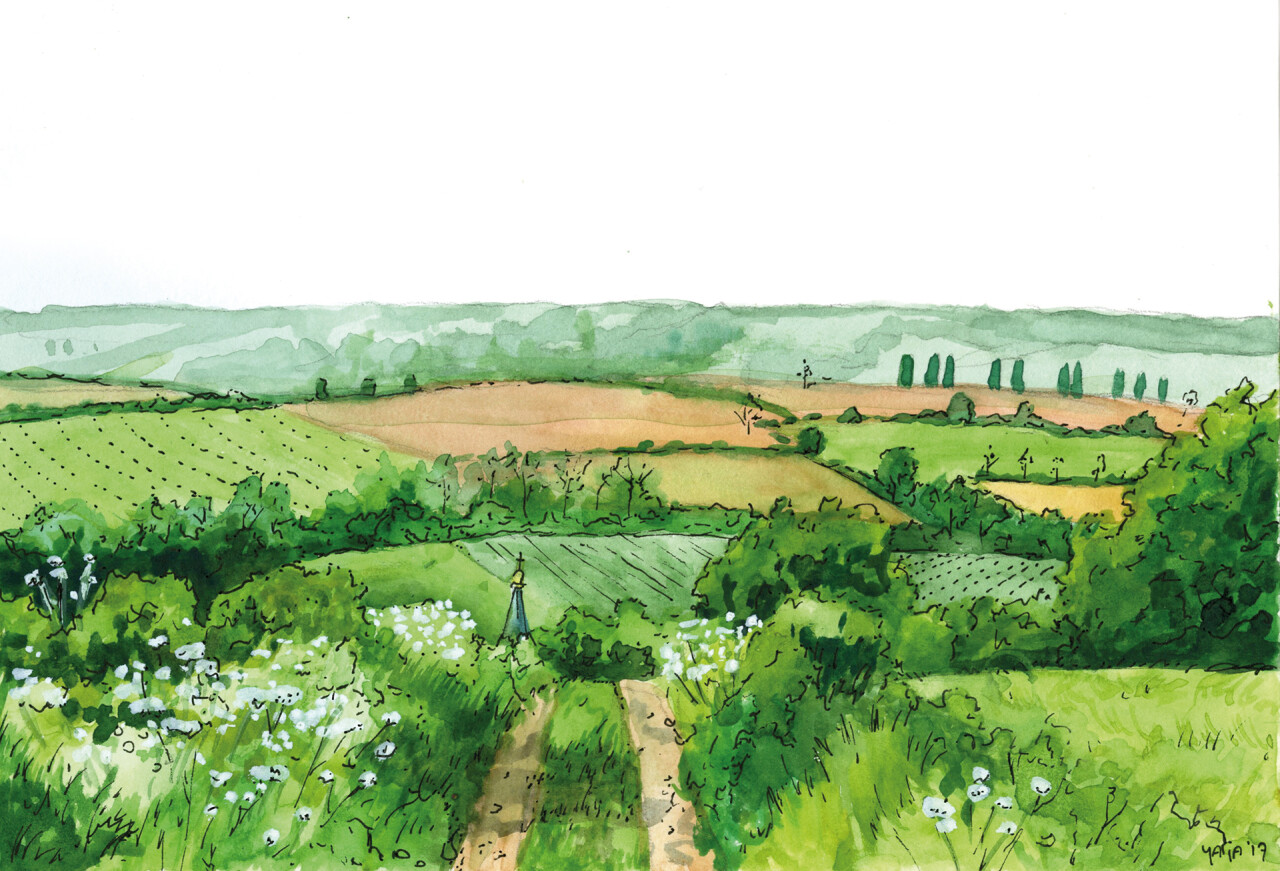 Limburgse landschappen 20