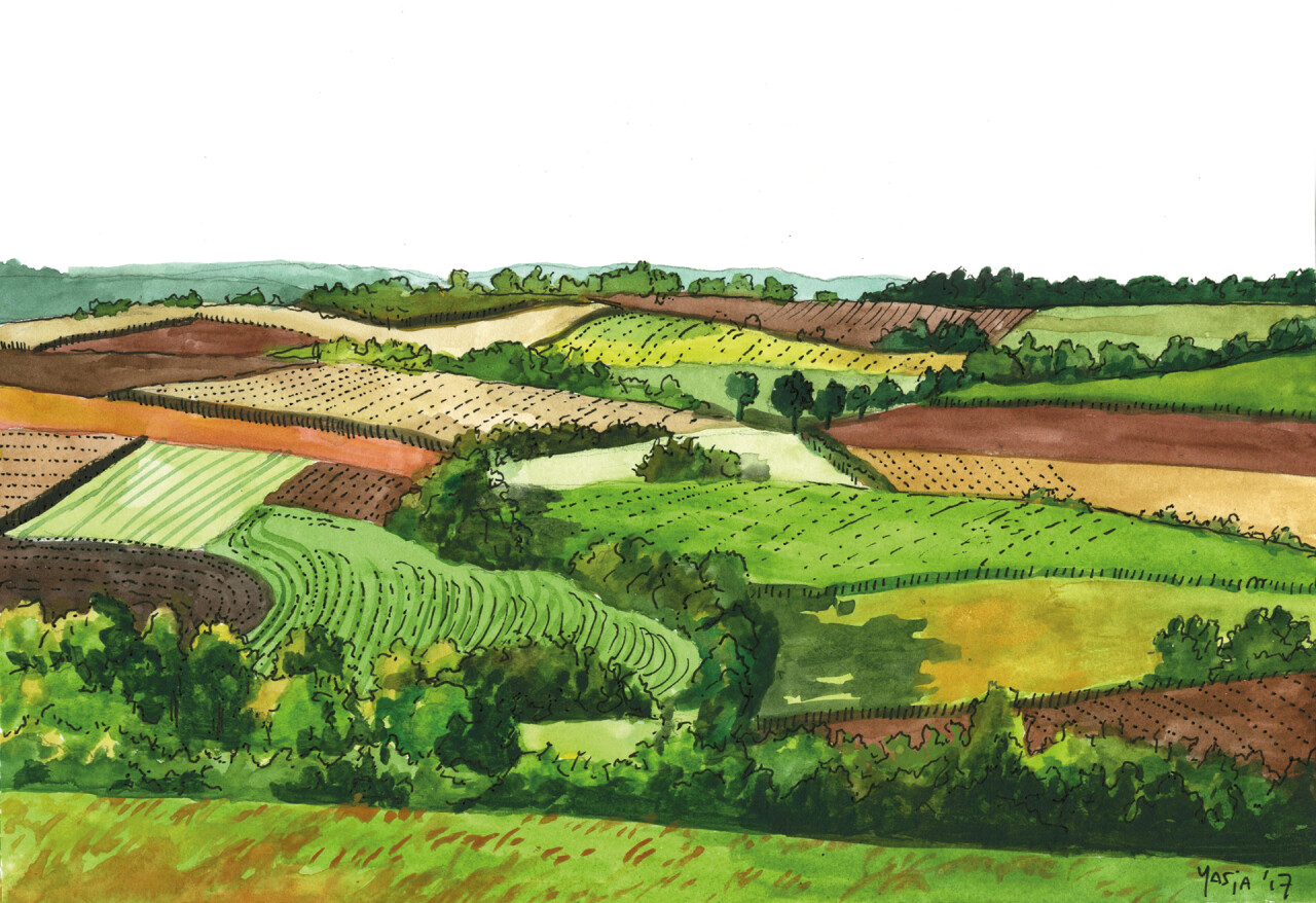 Limburgse landschappen 21